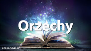 Sennik Orzechy - alesennik.pl - Znaczenie snów Sennik Orzechy - alesennik.pl - Znaczenie snów