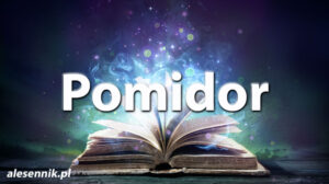 Sennik Pomidor - alesennik.pl - Znaczenie snów Sennik Pomidor - alesennik.pl - Znaczenie snów