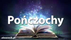 Sennik Pończochy - alesennik.pl - Znaczenie snów Sennik Pończochy - alesennik.pl - Znaczenie snów