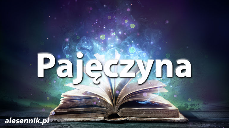 Sennik pajęczyna — Sprawdź, co oznacza sen o pajęczynie!