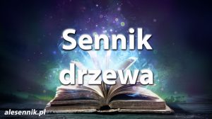 sennik_drzewa