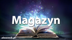 Sennik Magazyn - alesennik.pl - Znaczenie snów Sennik Magazyn - alesennik.pl - Znaczenie snów