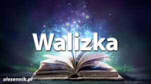 Sennik walizka — Sprawdź, co oznacza sen o walizce! Sennik walizka — Sprawdź, co oznacza sen o walizce!