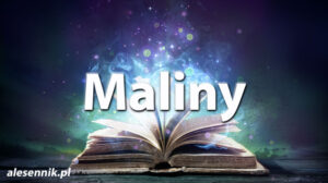 Sennik maliny — Sprawdź, co oznacza sen o malinach! Sennik maliny — Sprawdź, co oznacza sen o malinach!