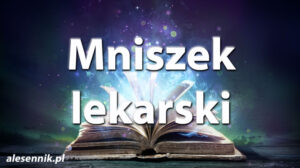 Sennik Mniszek lekarski - alesennik.pl - Znaczenie snów Sennik Mniszek lekarski - alesennik.pl - Znaczenie snów