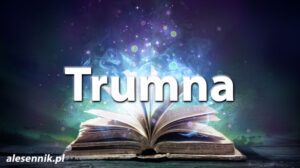 Sennik trumna — Sprawdź, co oznacza sen o trumnie! Sennik trumna — Sprawdź, co oznacza sen o trumnie!