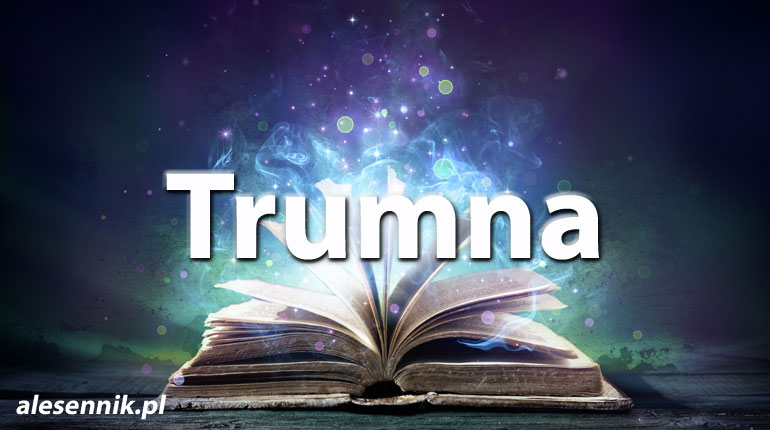 Sennik trumna — Sprawdź, co oznacza sen o trumnie!