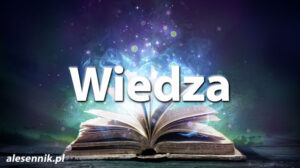 Sennik Wiedza - alesennik.pl - Znaczenie snów Sennik Wiedza - alesennik.pl - Znaczenie snów