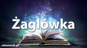 Sennik Żaglówka - alesennik.pl - Znaczenie snów Sennik Żaglówka - alesennik.pl - Znaczenie snów