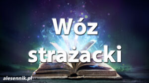 Sennik Wóz strażacki - alesennik.pl - znaczenie snów Sennik Wóz strażacki - alesennik.pl - znaczenie snów