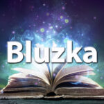 Sennik bluzka