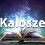 Sennik kalosze