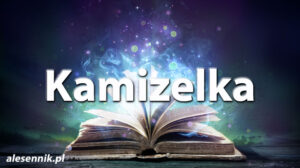 Sennik Kamizelka - alesennik.pl - znaczenie snów Sennik Kamizelka - alesennik.pl - znaczenie snów