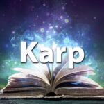 Sennik karp