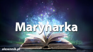 Sennik Marynarka - alesennik.pl - znaczenie snów Sennik Marynarka - alesennik.pl - znaczenie snów