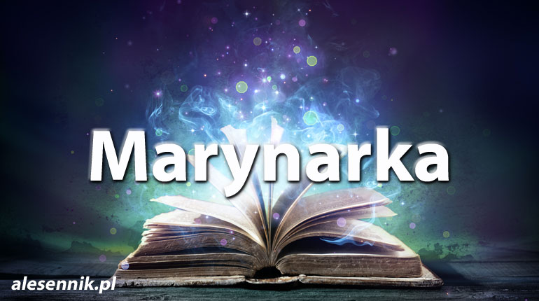 Sennik Marynarka - alesennik.pl - znaczenie snów