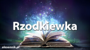 Sennik Rzodkiewka - alesennik.pl - znaczenie snów Sennik Rzodkiewka - alesennik.pl - znaczenie snów
