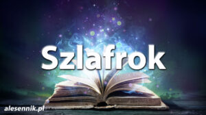 Sennik Szlafrok - alesennik.pl - znaczenie snów