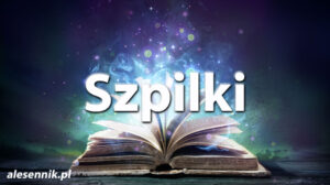 Sennik Szpilki - alesennik.pl - znaczenie snów