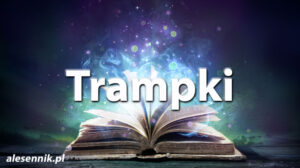 Sennik Trampki - alesennik.pl - znaczenie snów Sennik Trampki - alesennik.pl - znaczenie snów